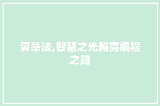 穷举法,智慧之光照亮编程之路