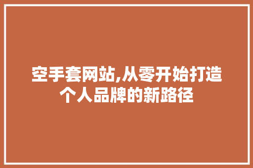 空手套网站,从零开始打造个人品牌的新路径