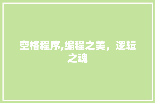 空格程序,编程之美，逻辑之魂