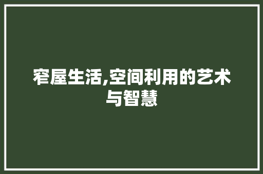 窄屋生活,空间利用的艺术与智慧