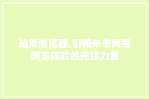 站斧浏览器,引领未来网络浏览体验的先锋力量