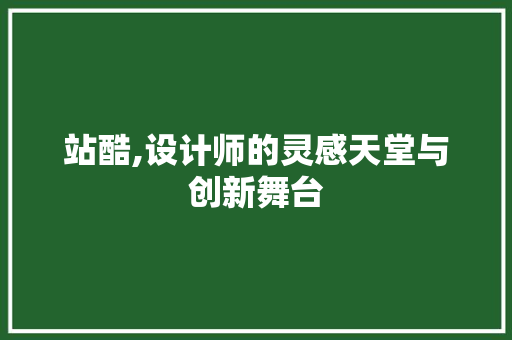 站酷,设计师的灵感天堂与创新舞台