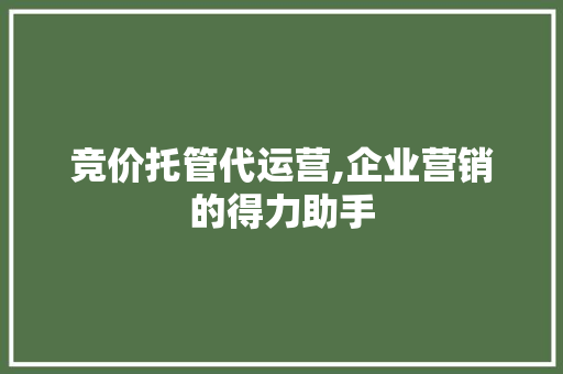 竞价托管代运营,企业营销的得力助手
