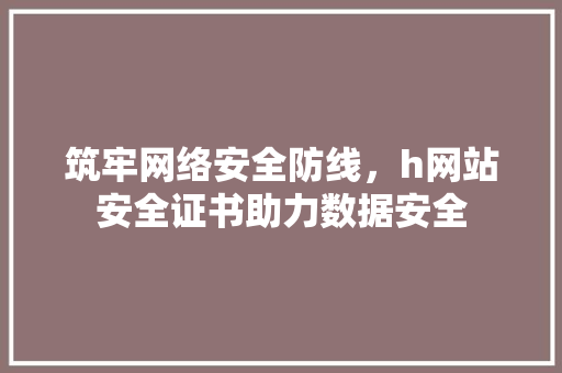 筑牢网络安全防线，h网站安全证书助力数据安全 筑牢网络安全防线，h网站安全证书助力数据安全 神马SEO