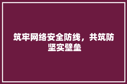 筑牢网络安全防线，共筑防 坚实壁垒