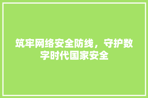 筑牢网络安全防线，守护数字时代国家安全