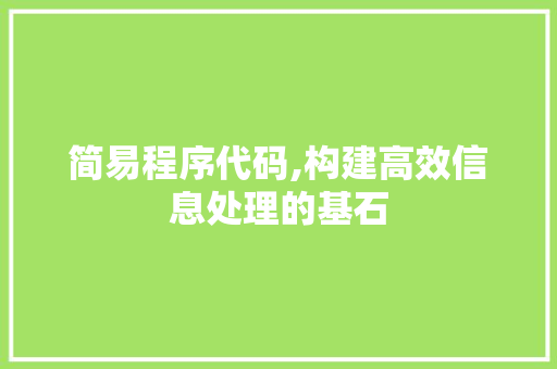简易程序代码,构建高效信息处理的基石