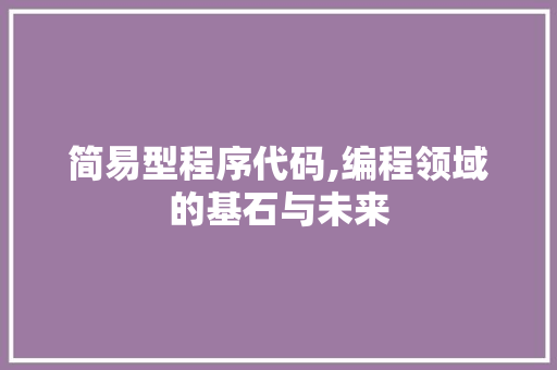 简易型程序代码,编程领域的基石与未来