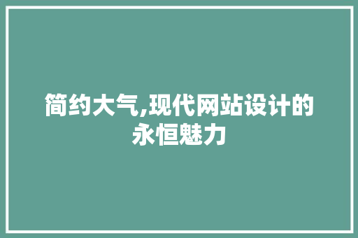 简约大气,现代网站设计的永恒魅力