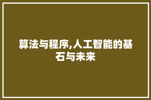 算法与程序,人工智能的基石与未来