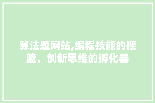 算法题网站,编程技能的摇篮，创新思维的孵化器