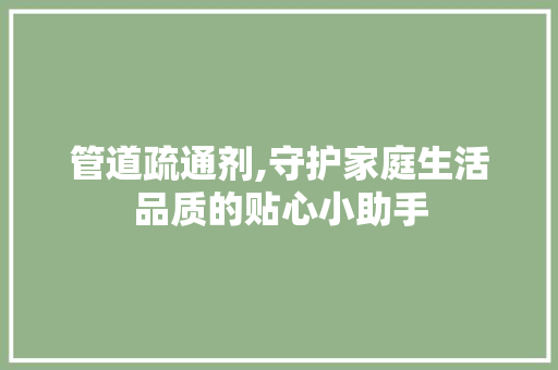 管道疏通剂,守护家庭生活品质的贴心小助手