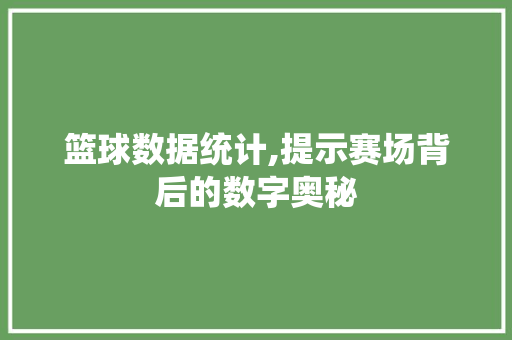 篮球数据统计,提示赛场背后的数字奥秘