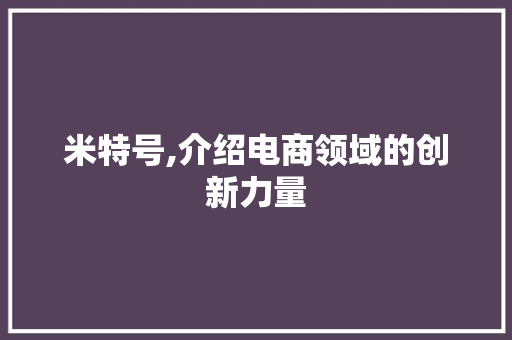 米特号,介绍电商领域的创新力量