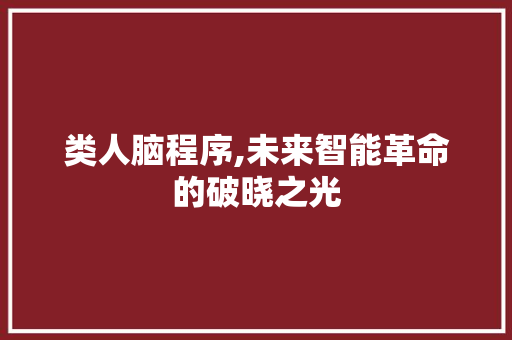 类人脑程序,未来智能革命的破晓之光