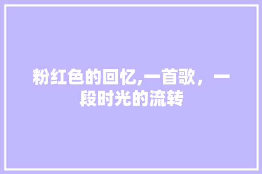 粉红色的回忆,一首歌，一段时光的流转