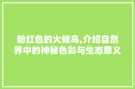 粉红色的火候鸟,介绍自然界中的神秘色彩与生态意义 粉红色的火候鸟,介绍自然界中的神秘色彩与生态意义 SEO关键词