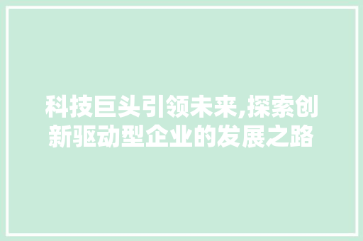 科技巨头引领未来,探索创新驱动型企业的发展之路