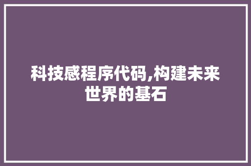 科技感程序代码,构建未来世界的基石