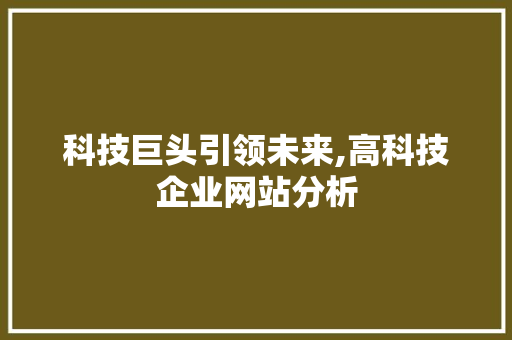 科技巨头引领未来,高科技企业网站分析