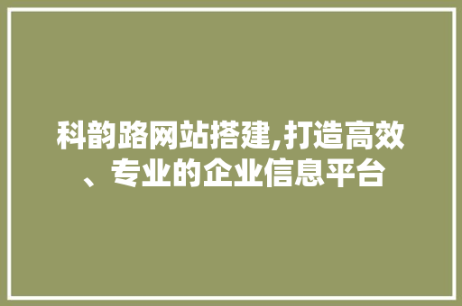 科韵路网站搭建,打造高效、专业的企业信息平台