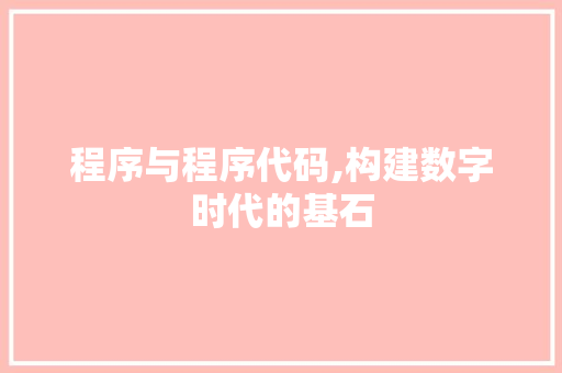 程序与程序代码,构建数字时代的基石