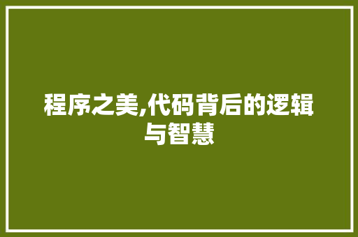 程序之美,代码背后的逻辑与智慧