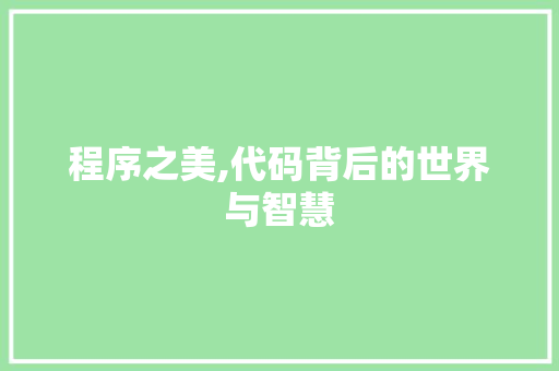 程序之美,代码背后的世界与智慧