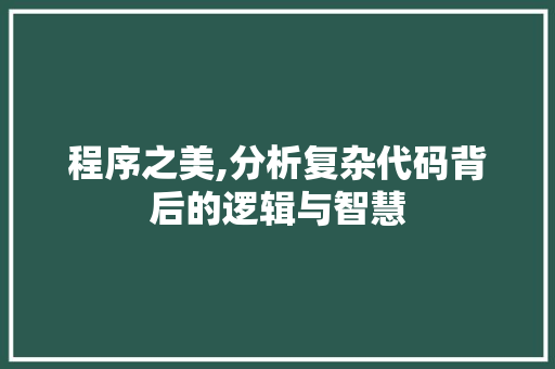 程序之美,分析复杂代码背后的逻辑与智慧