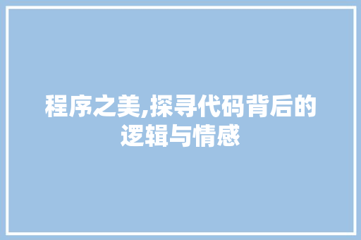 程序之美,探寻代码背后的逻辑与情感