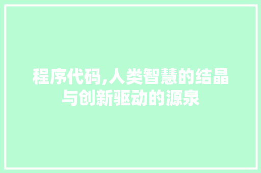 程序代码,人类智慧的结晶与创新驱动的源泉
