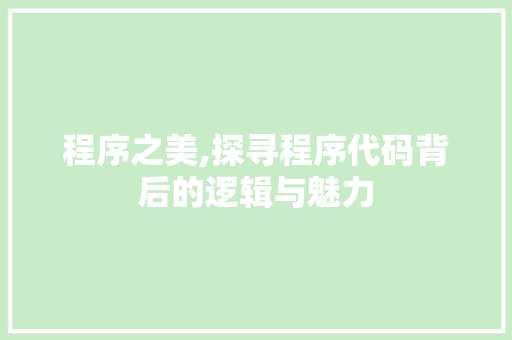 程序之美,探寻程序代码背后的逻辑与魅力