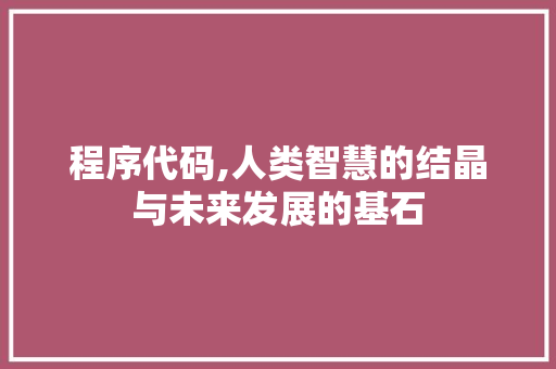 程序代码,人类智慧的结晶与未来发展的基石