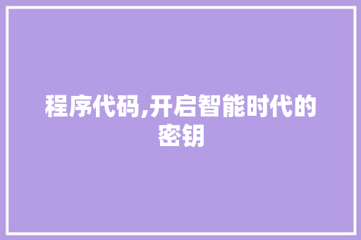 程序代码,开启智能时代的密钥