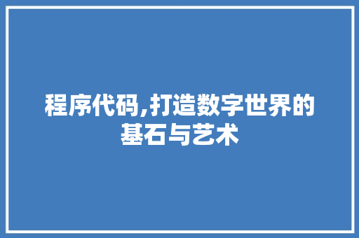 程序代码,打造数字世界的基石与艺术