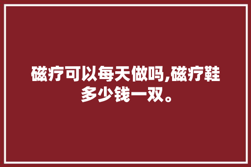 程序代码,开启编程世界的大门