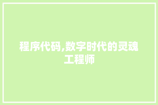 程序代码,数字时代的灵魂工程师 程序代码,数字时代的灵魂工程师 必应SEO