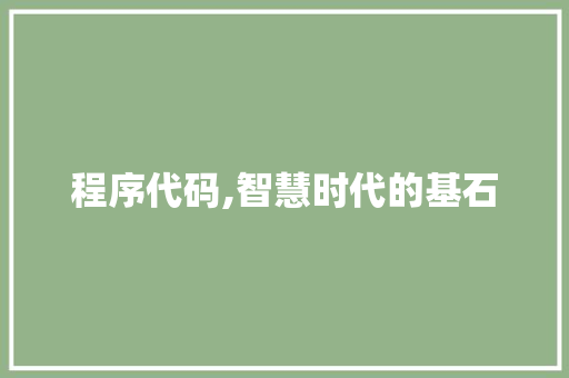 程序代码,智慧时代的基石 程序代码,智慧时代的基石 必应SEO