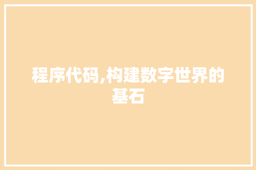 程序代码,构建数字世界的基石