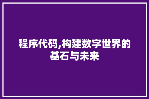程序代码,构建数字世界的基石与未来