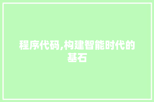程序代码,构建智能时代的基石