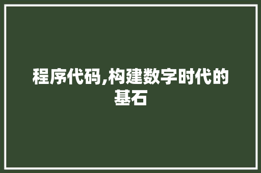 程序代码,构建数字时代的基石 程序代码,构建数字时代的基石 必应SEO