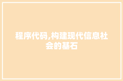 程序代码,构建现代信息社会的基石