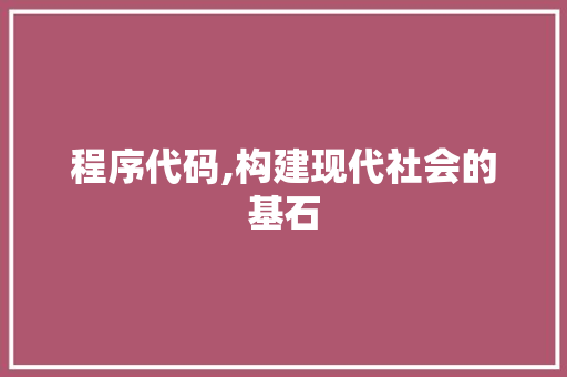 程序代码,构建现代社会的基石