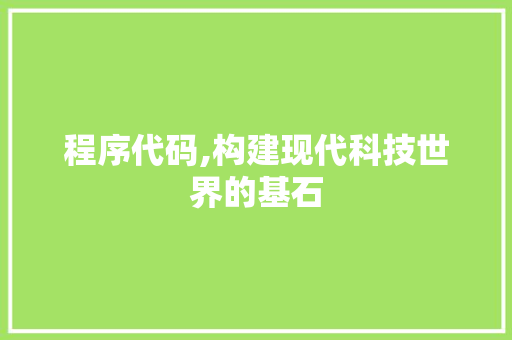 程序代码,构建现代科技世界的基石