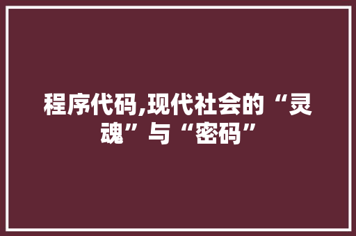 程序代码,现代社会的“灵魂”与“密码”
