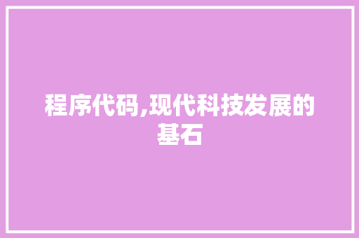 程序代码,现代科技发展的基石