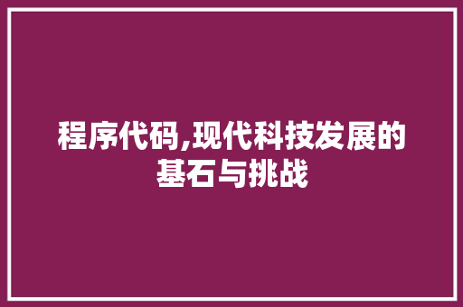 程序代码,现代科技发展的基石与挑战