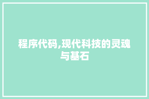 程序代码,现代科技的灵魂与基石