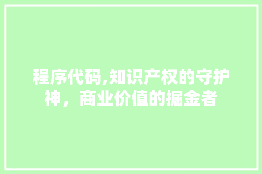 程序代码,知识产权的守护神，商业价值的掘金者
